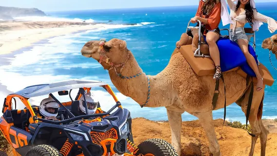 NEW! Combo Camel Beach Ride and UTV 4X4 Cabo Adventure, Tequila &