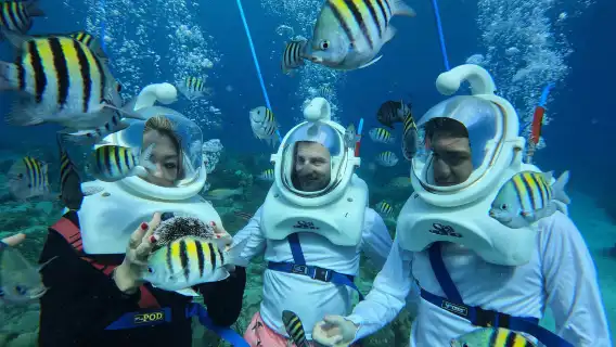 【全島接送/曼谷可接】芭達雅格蘭島一日遊浮潛含餐海陸空旅拍