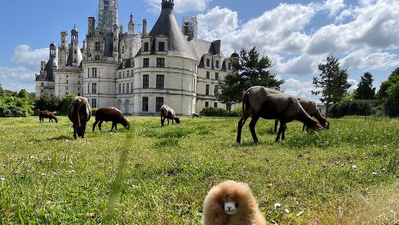 Chambord