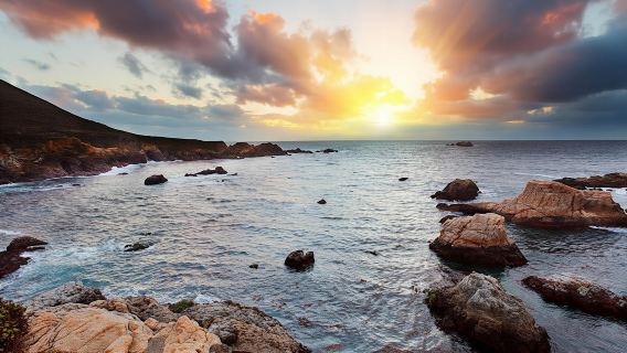 Monterey, Carmel and The 17-Mile Drive tour