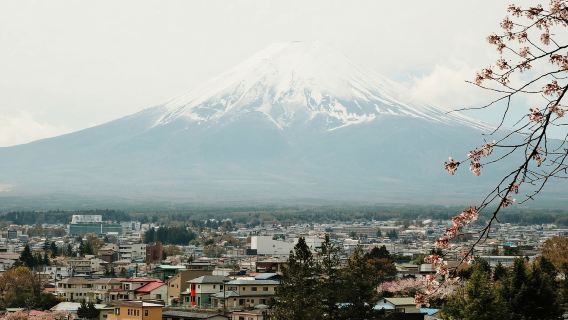 日本東京出發丨大石公園+森之蒸餾所&三得利威士忌品酒一日遊