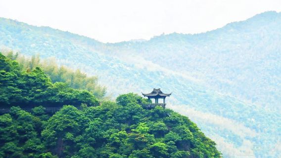 衢州紫微山+飛鴻滑草場+北門街【親子出遊/避暑勝地】S