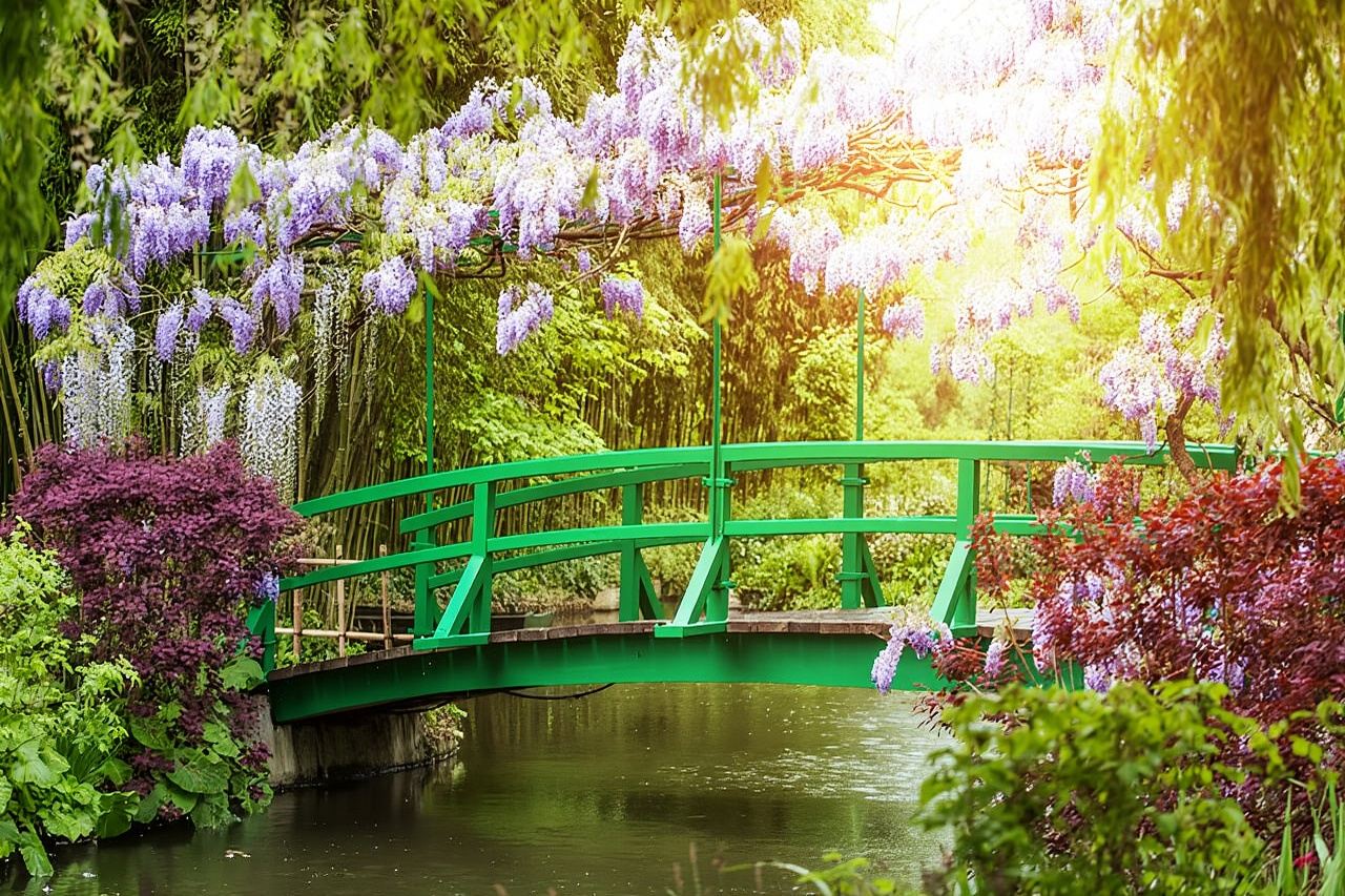 Tour di mezza giornata alla casa e ai giardini di Monet a Giverny da Parigi