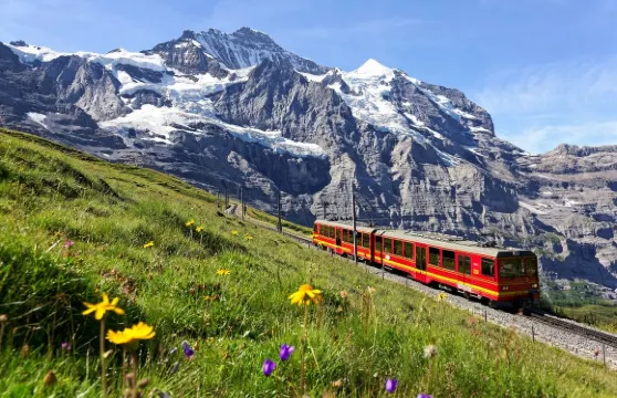 瑞士巴塞爾+法國科爾瑪老城一日遊