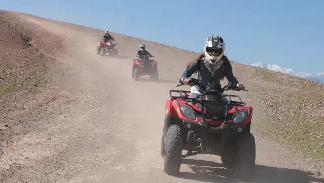 Half-day quad bike in the palmgrove & rock desert