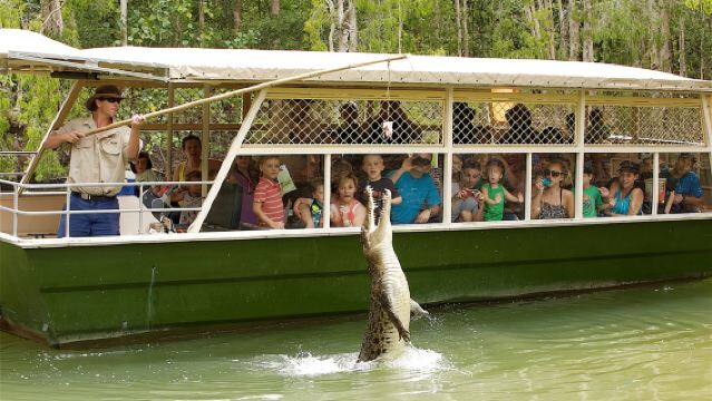 Hartley's Crocodile Adventures Half-Day Tour from Cairns