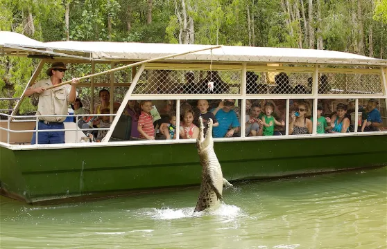 開恩茲出發：哈特利鱷魚探險公園半日遊