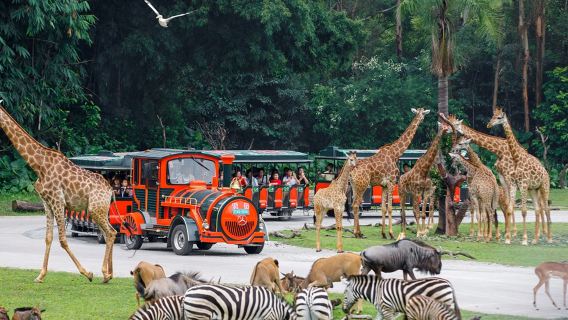 廣州長隆度假區·營地服務【長隆2天1晚/3天2晚一票多園+住宿套票長隆/熊貓/香江飯店】