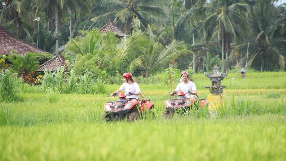 Bali: Sunrise Jeep Gunung Batur & ATV - Pakej Persendirian dengan Pengangkutan Hotel dalam Bahasa Inggeris
