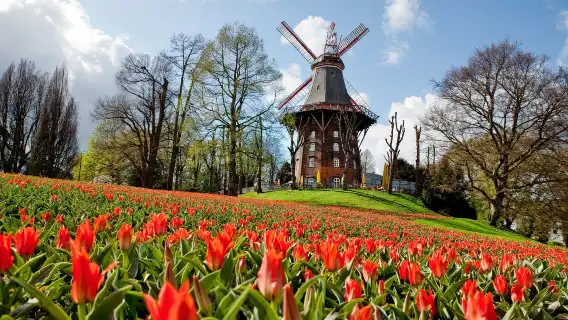 เยอรมนี + จัตุรัสตลาดเบรเมน + สวนกังหันลม + สนามกีฬาเวเซอร์ + รูปปั้นโรแลนด์ในเบรเมน