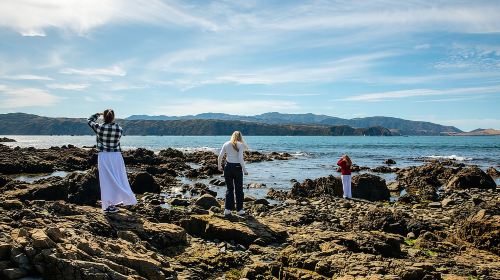 Discover Wellington 3 hour City Tour Day Tours