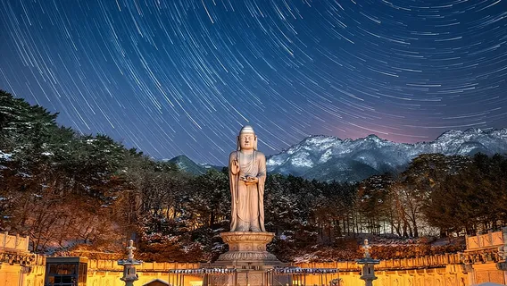 Daegu Top Attractions Private Tour with Licensed Guide