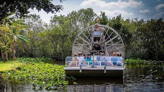 Everglades Airboat Experience – Wildlife & Wetlands