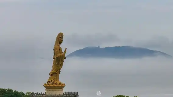 浙江舟山・普陀山風景名勝区の恵みの旅：ガイド[中国語、英語、ロシア語、フランス語、スペイン語、日本語、韓国語]