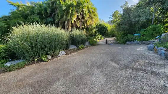 เคปทาวน์: โบคาป, เทเบิลเมาน์เทน และกรูทคอนสแตนเทีย …