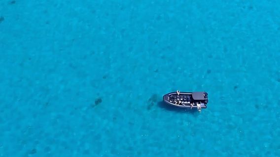 Dunsborough: Geographe Bay Eco & Snorkel Boat Tour