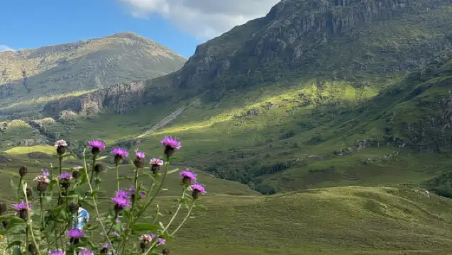From Edinburgh: Glenfinnan, Fort William and Highland Cows