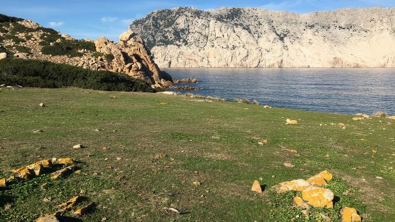 Temui Molara: perahu kecil, trekking, snorkeling dan minuman beralkohol di pulau persendirian.