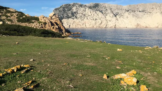 Discover Molara: dinghy, trekking, snorkeling, and aperitif on a private island.