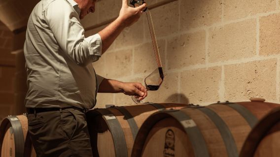 Vineyard Walk and Tasting at a Masseria Winery in Taranto