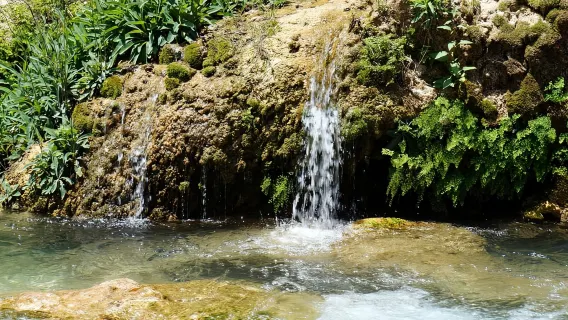 Dari Albir, Benidorm & Calpe: Tur Guadalest & Air Terjun Algar