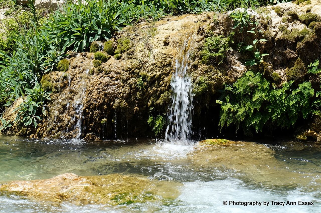 Van Albir, Altea, Benidorm en Calpe: Guadalest & Algar-tour