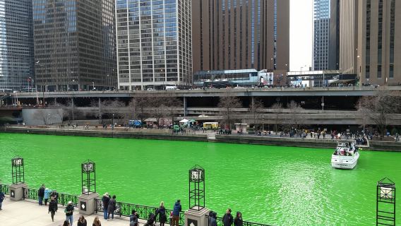 Chicago: City Minibus Tour with Optional Architecture Cruise