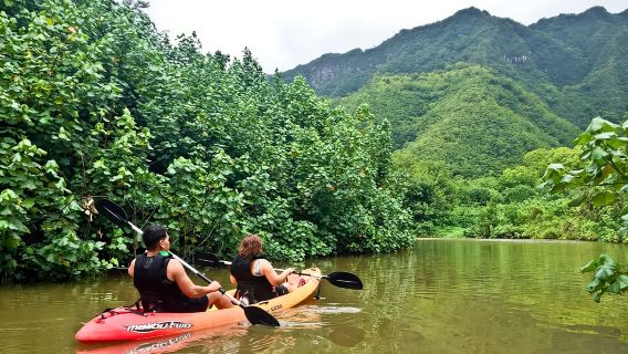 Oahu: Kahana Rainforest River 4-Hour Kayak Rental