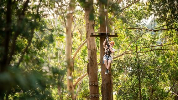 Ourimbah: Khóa học đu dây mạo hiểm Central Coast Treetops