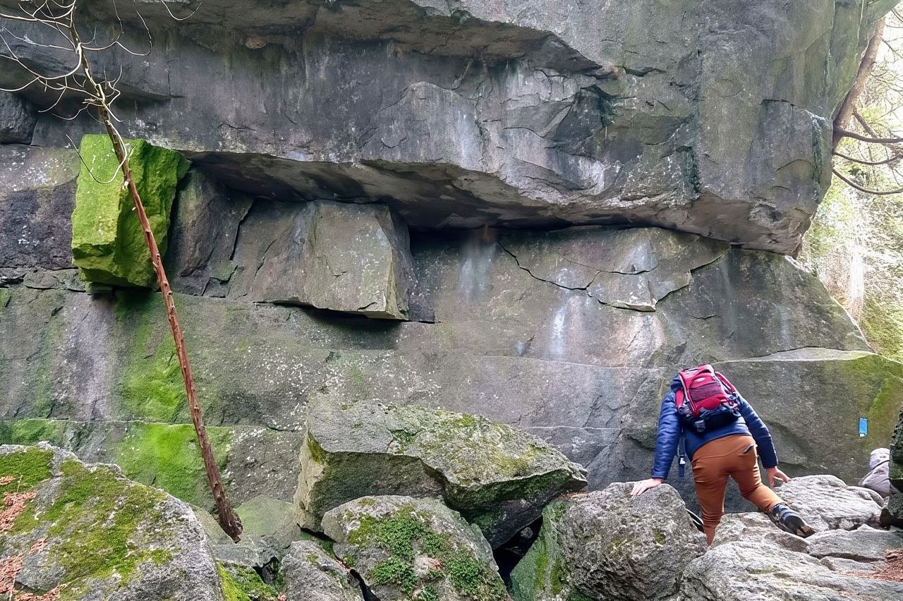 私人梅特卡夫/鄧肯洞穴健行之旅 - 科林伍德/藍山