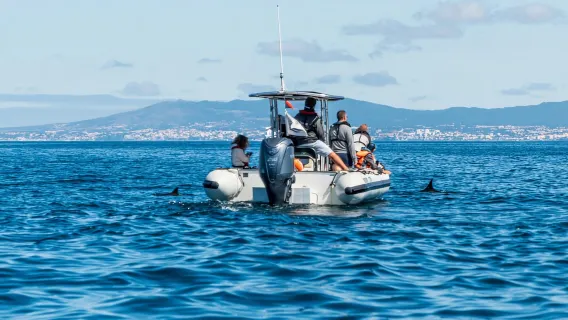 Lisbona: gita in motoscafo al faro di Bugio