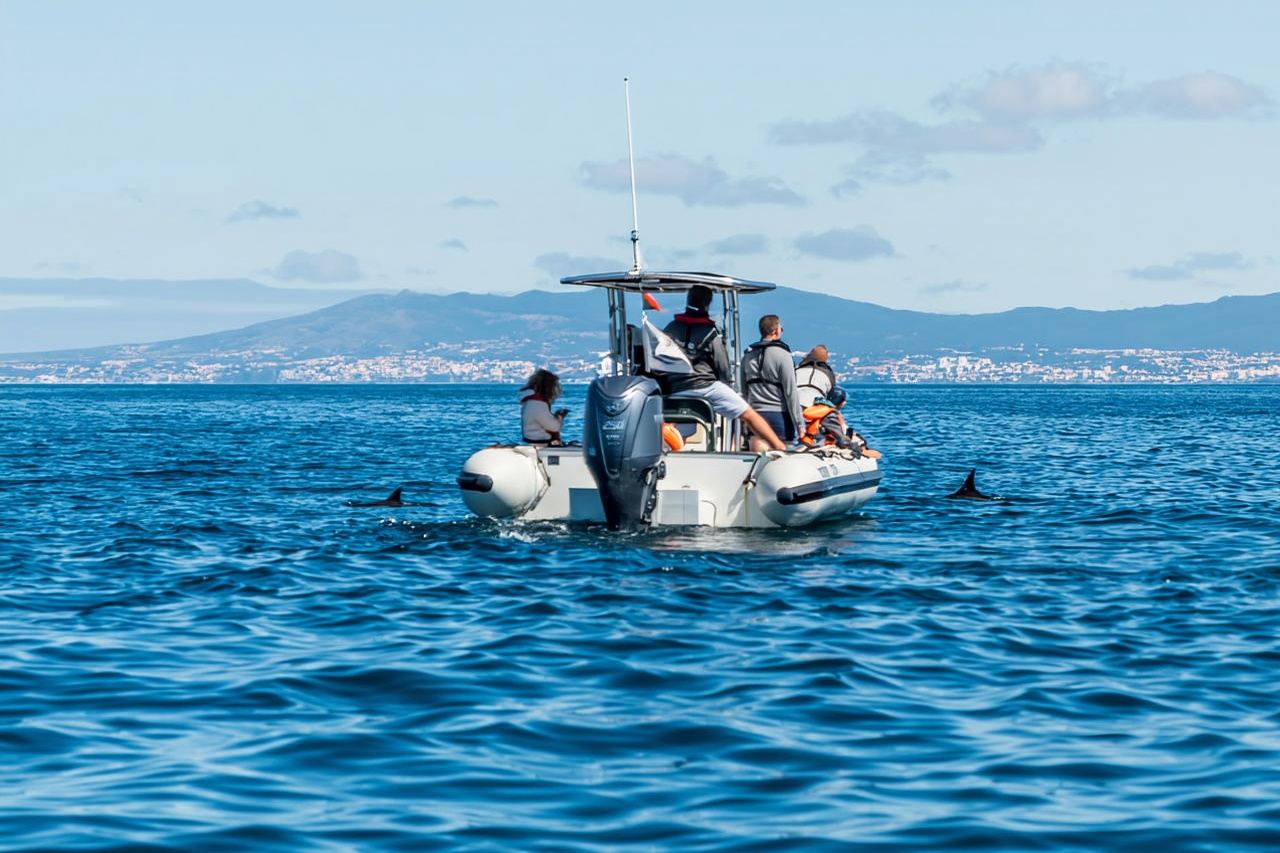 Lisbon: Speedboat Trip to Bugio Lighthouse