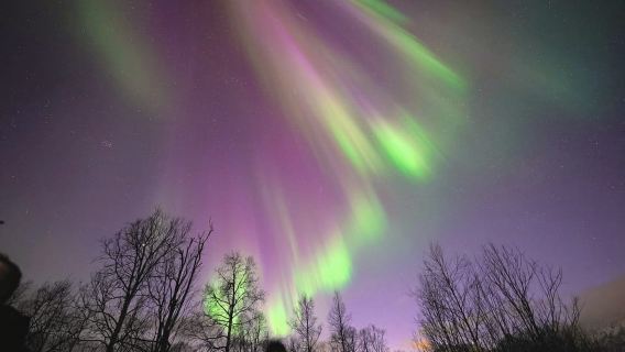 ทรอมโซ: ทัวร์ชมแสงเหนือด้วยรถมินิบัสพร้อมกองไฟ