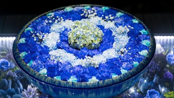 Japan's top 3 light shows: 1-day tour to Hikari no Hanazono Garden & Ibaraki's red kochia fields