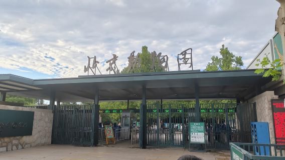 Beijing: Beijing Zoo Entry Ticket