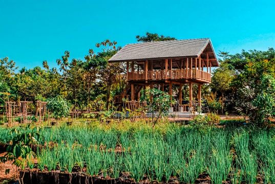 The Rice Barn Thai Cooking Farm Chiang Mai｜清邁稻米穀倉泰廚農場｜廚藝學校