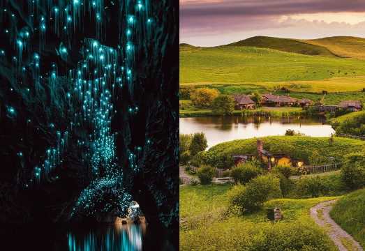 Hobbiton & Waitomo Caves Day Tour with Lunch from Auckland