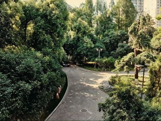 Others 4, Wuhan Conference Center(Guesthouse), Wuhan