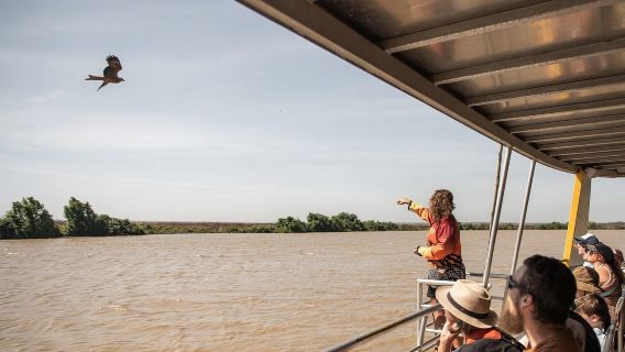 Darwin: Chuyến du thuyền sông Adelaide ngắm cá sấu nhảy ngoạn mục