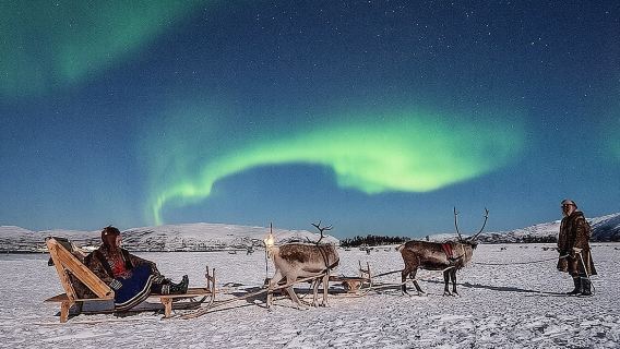 Night Reindeer Sledding with Camp Dinner and Chance of Northern Lights