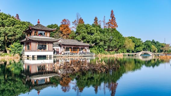 항저우 개인 가이드 1일 투어: 서호, 영은사, 파운고촌, 룽징 차밭