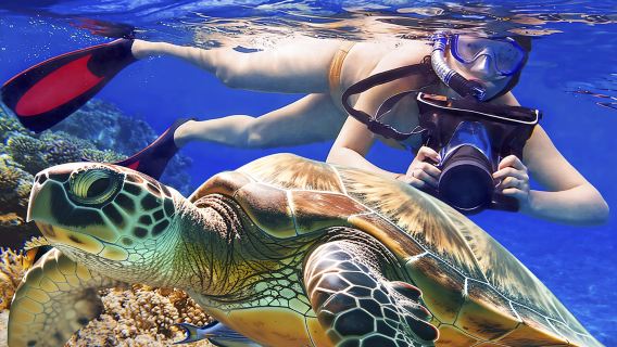 馬來西亞沙巴仙本那馬達京島汀巴汀巴島一日遊 浮潛深潛組合可選