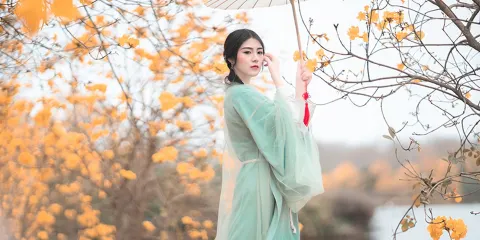 周口Trip Moments【街拍跟拍航拍抓拍婚拍/多語言翻譯攝影師/攝影攝像/底片全送】