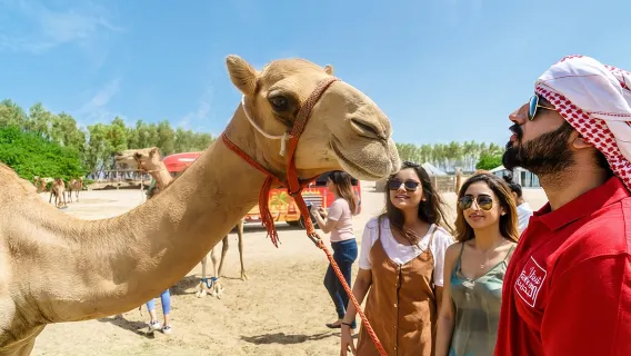 Tour di mezza giornata nel deserto