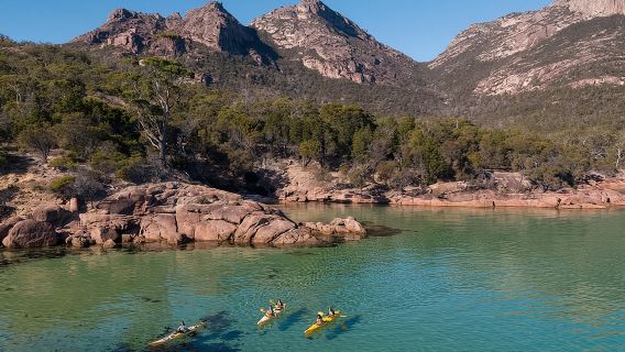 Dayung Freycinet