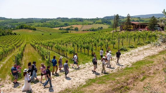 Tuscany Day Trip from Florence: Siena, San Gimignano, Pisa and Lunch at a Winery