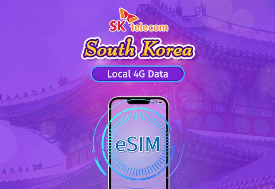 韓国SKT｜4G eSIM｜デイパス｜通話＋SMS｜24時間課金｜1～30日