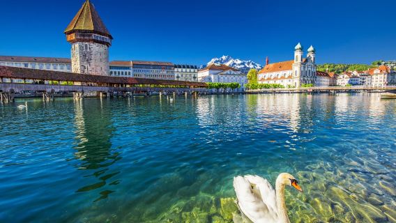 Lucerne City Tour Train + Chapelle Bridge + Swan Square + Lucerne Old Town