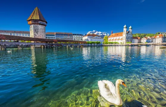 盧塞恩環城小火車+卡佩爾廊橋+天鵝廣場+盧塞恩老城區【行程可調】