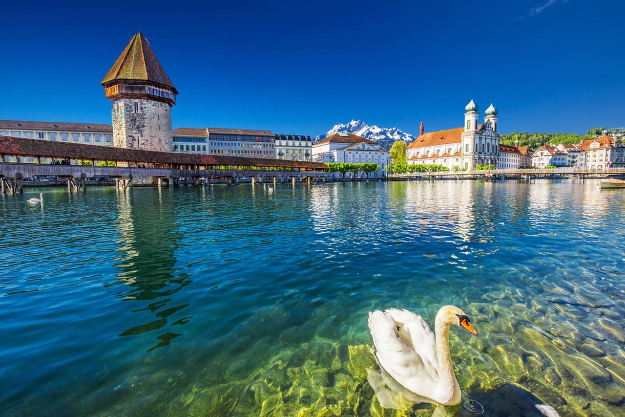 Lucerne City Tour Train + Chapel Bridge + Schwanenplatz + Old Town [Flexible Itinerary]